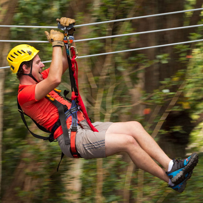 Experience the thrill of zipping from tree to tree and reaching speeds up to 45 MPH while taking in the serene beauty of the forest canopy.